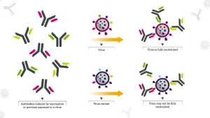 vaccination now